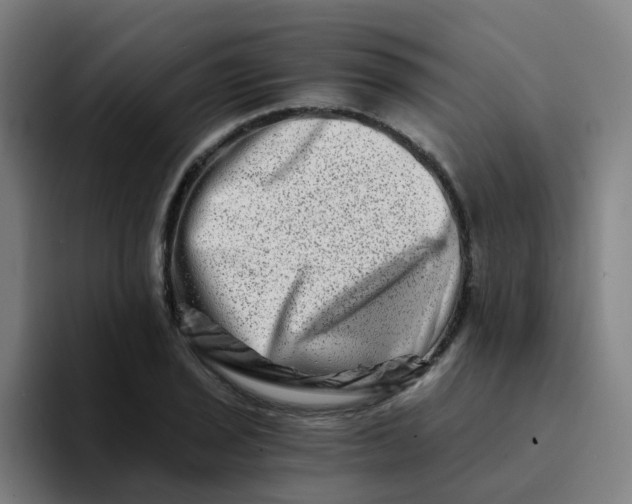 X0000094201029200711161804