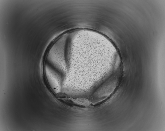 X0000094201032200711161804