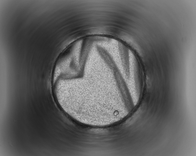 X0000094201033200711161804