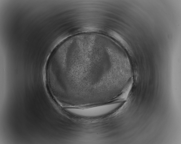 X0000094201034200711161804