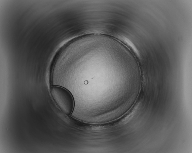 X0000094201035200711161804