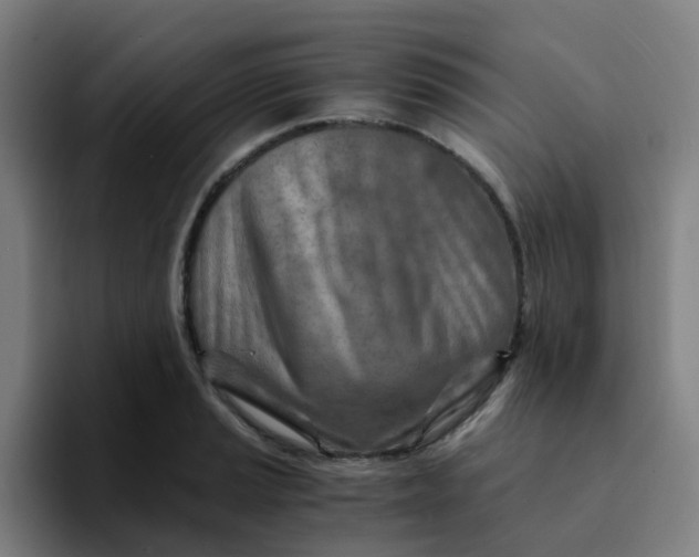 X0000094201037200711161804