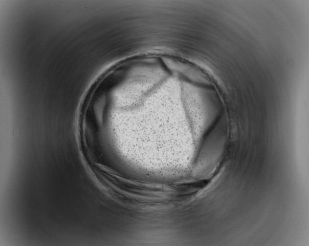 X0000094201038200711161804