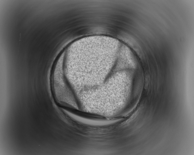 X0000094201039200711161804