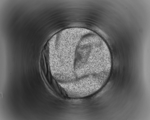 X0000094201041200711161804