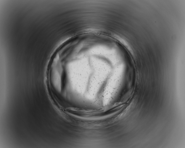 X0000094201042200711161804