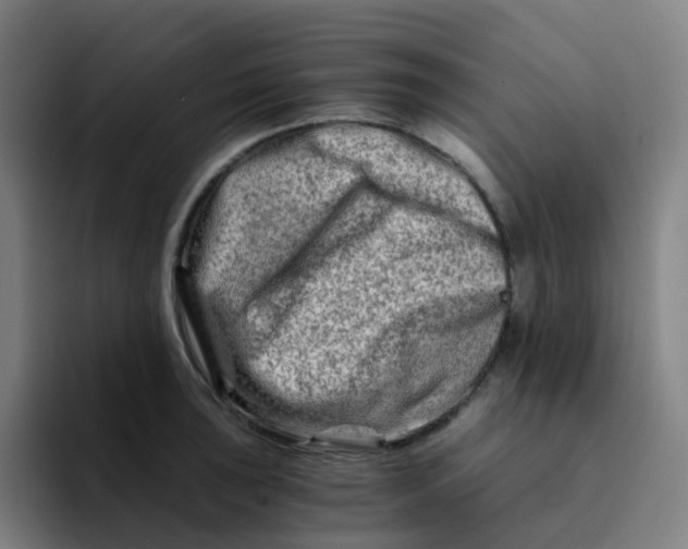 X0000094201043200711161804