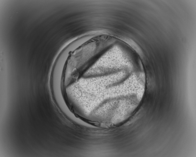 X0000094201044200711161804