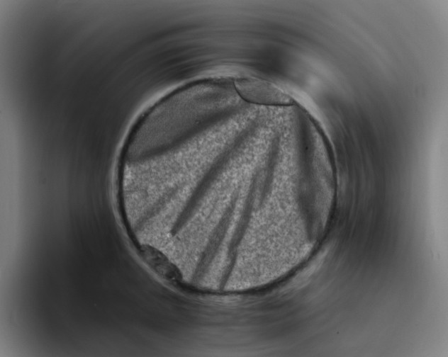 X0000094201045200711161804