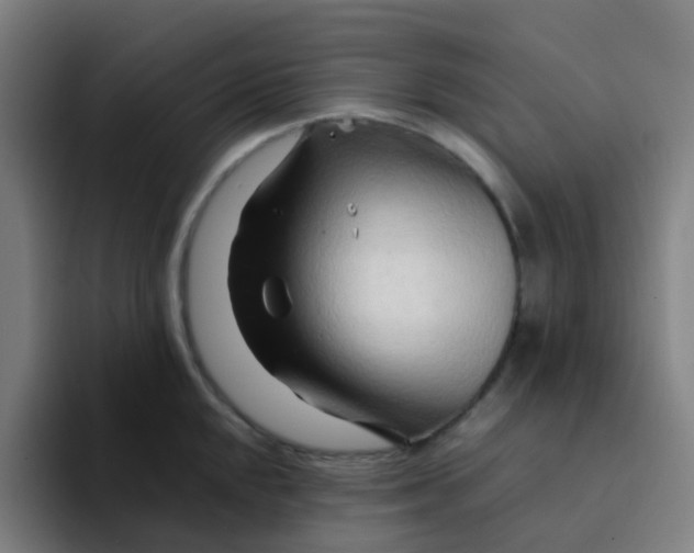 X0000094201048200711161804