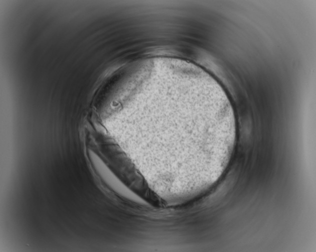 X0000094201049200711161804