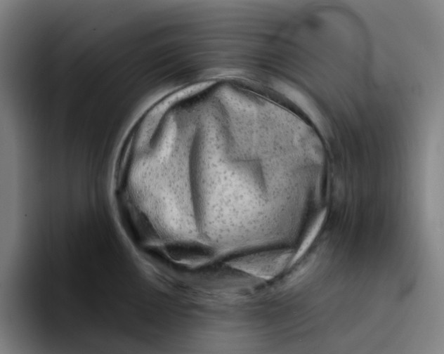 X0000094201050200711161804