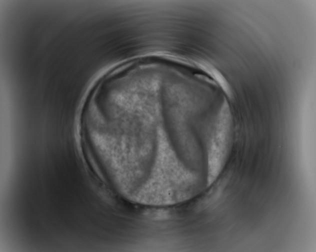 X0000094201051200711161804