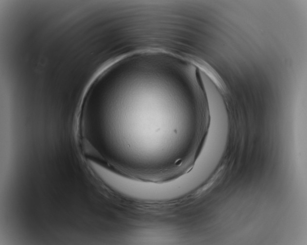 X0000094201052200711161804