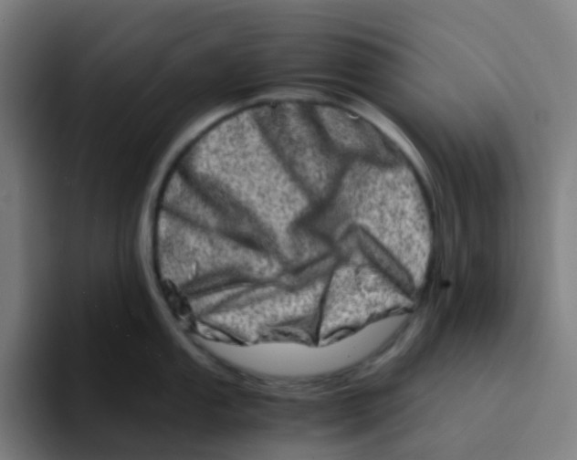 X0000094201053200711161804