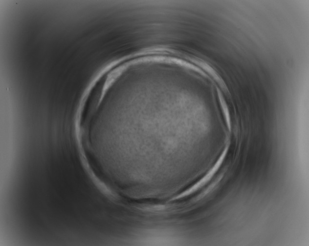 X0000094201054200711161804