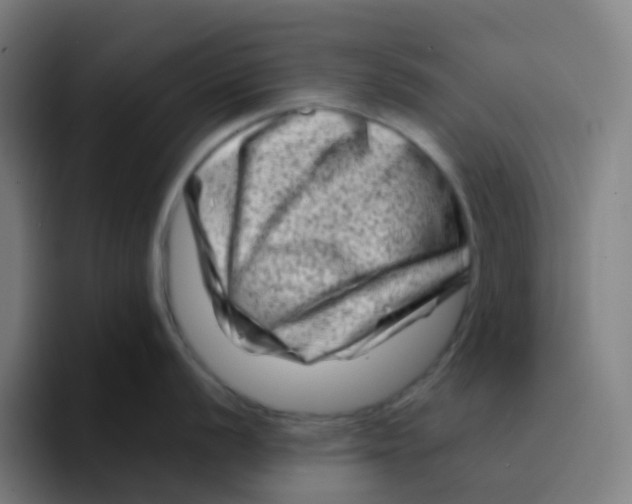 X0000094201056200711161804