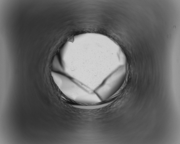 X0000094201057200711161804