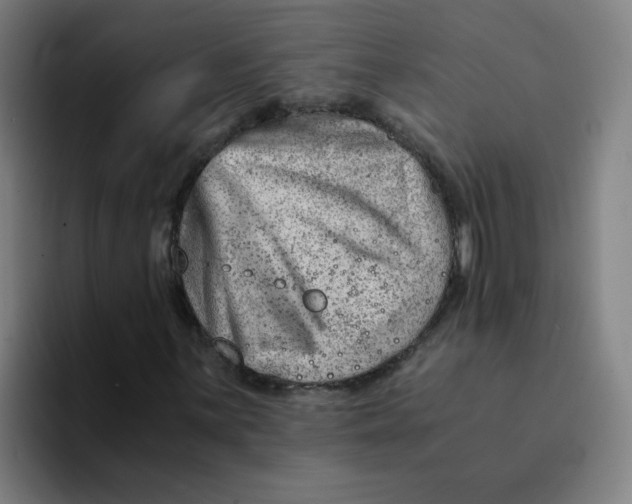 X0000094201059200711161804