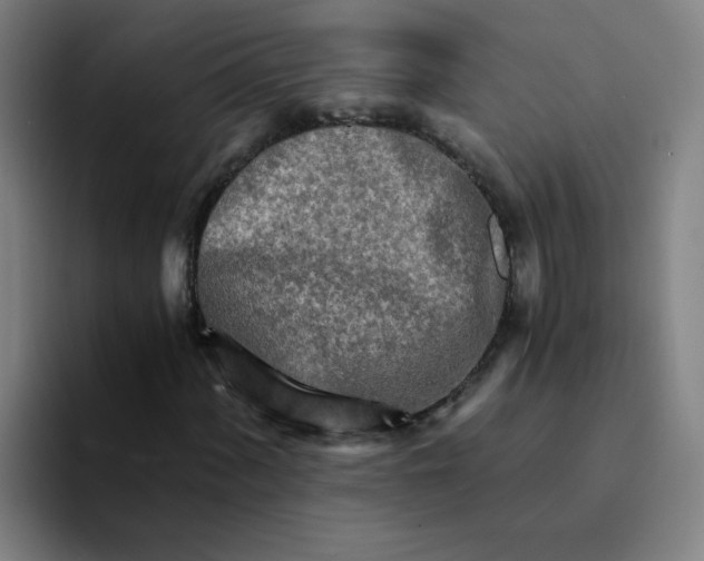 X0000094201060200711161804