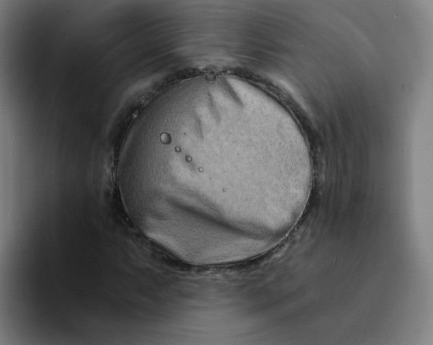 X0000094201063200711161804