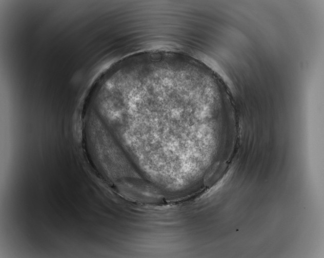 X0000094201067200711161804