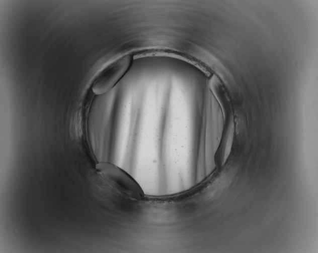 X0000094201069200711161803