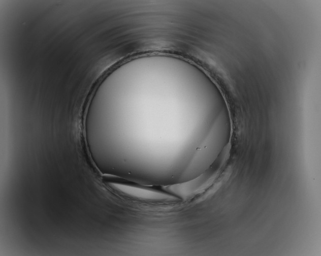 X0000094201073200711161803