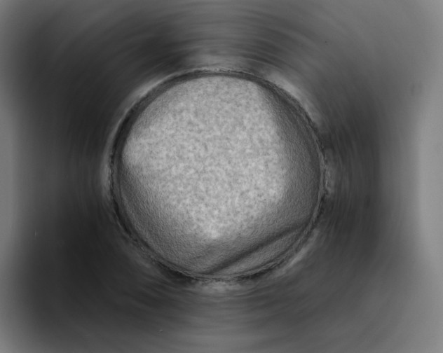 X0000094201074200711161803