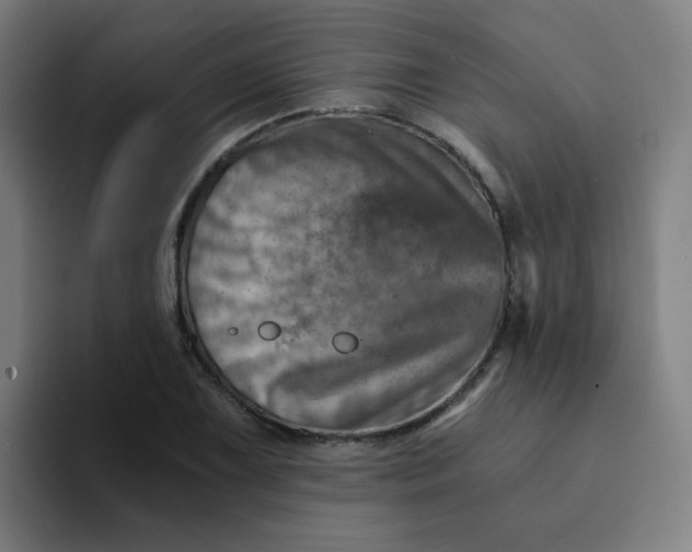 X0000094201075200711161803