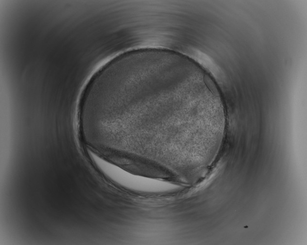 X0000094201077200711161803