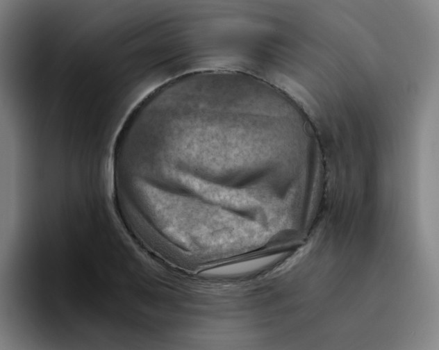 X0000094201079200711161803