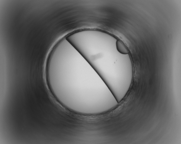 X0000094201080200711161803