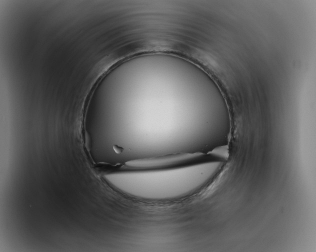 X0000094201081200711161803