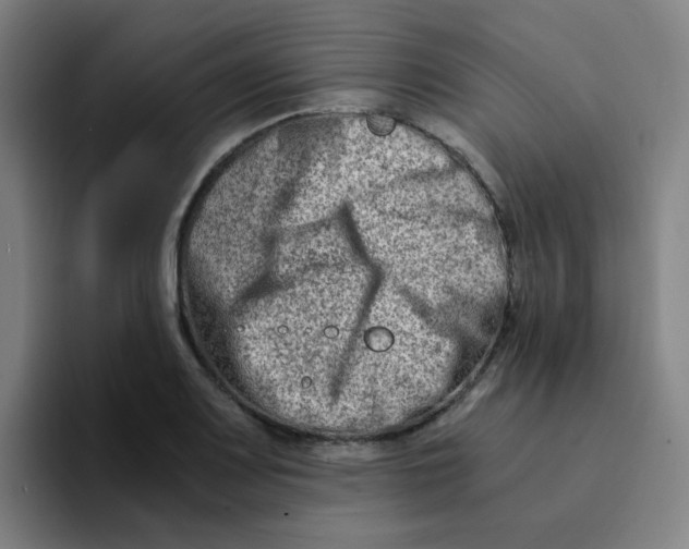 X0000094201083200711161803