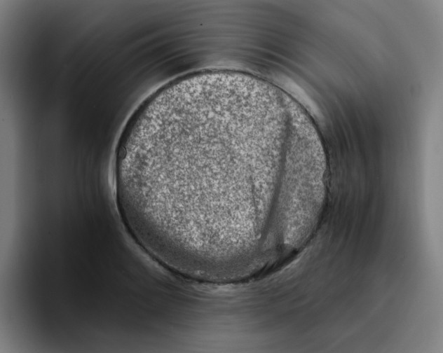 X0000094201084200711161803