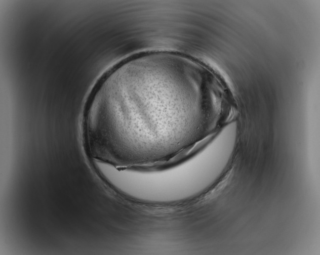 X0000094201085200711161803