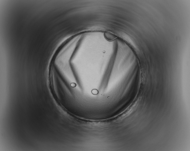 X0000094201087200711161803