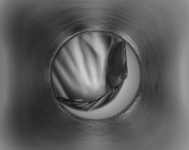 X0000094201089200711161803