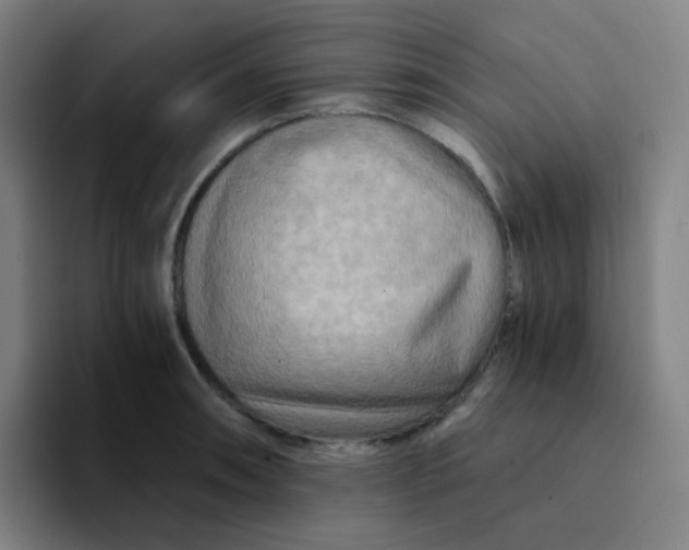 X0000094201090200711161803