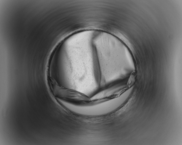 X0000094201093200711161803