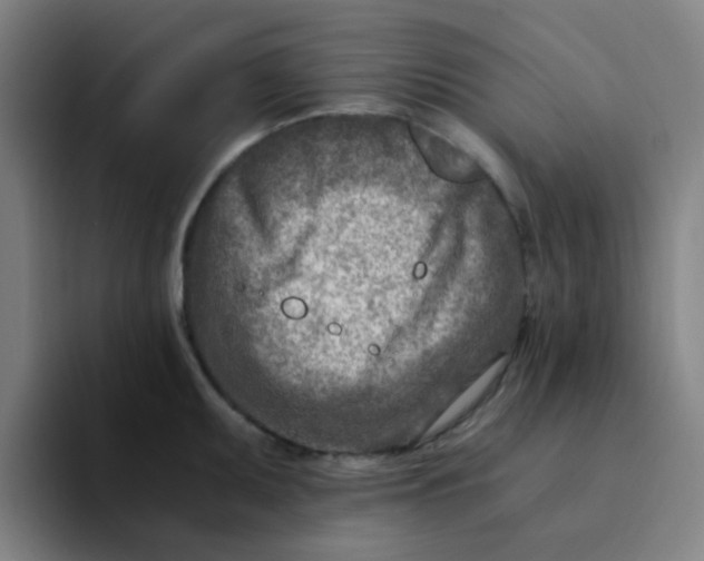 X0000094201095200711161803