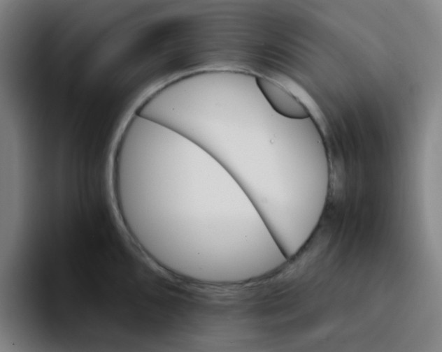 X0000094201096200711161803