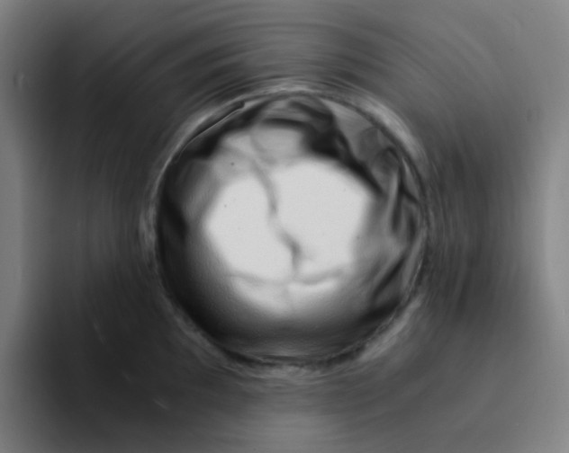 X0000094201097200711161803