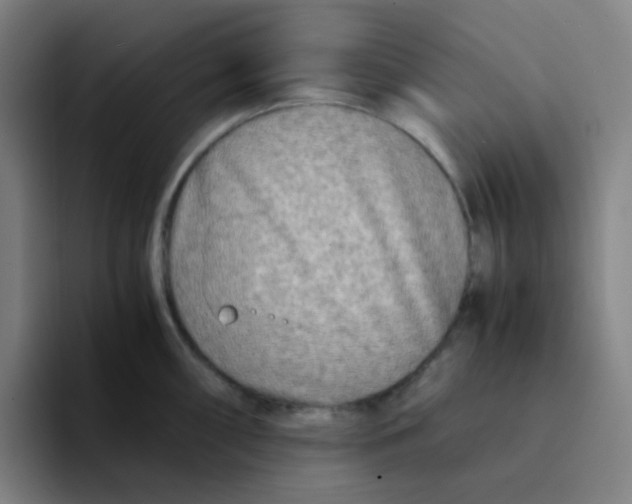 X0000094201098200711161803