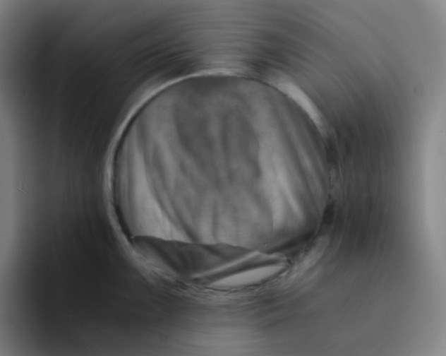 X0000094201099200711161803