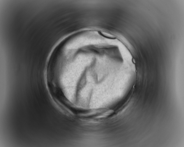 X0000094201100200711161803