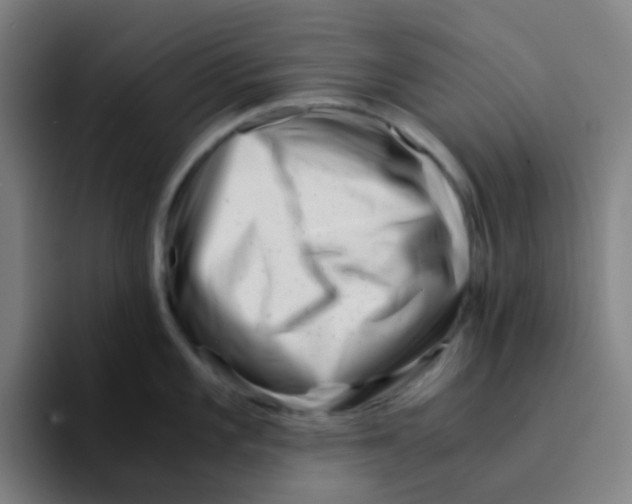 X0000094201101200711161803