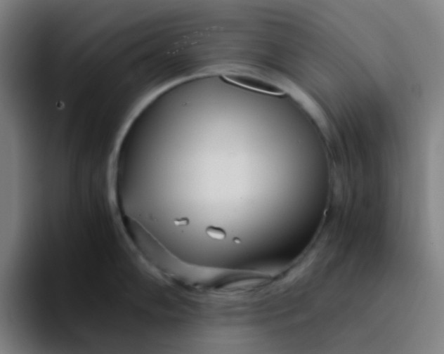 X0000094201102200711161803