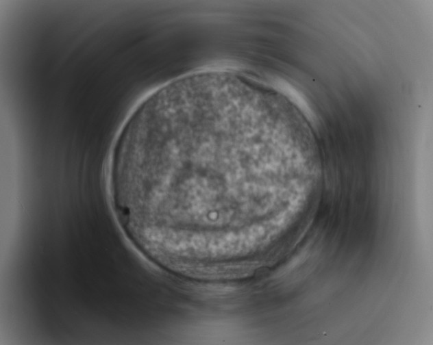 X0000094201103200711161803